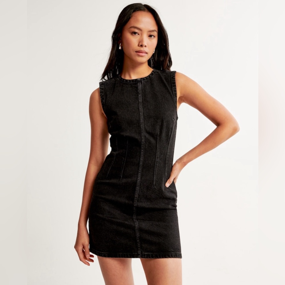 Shell Denim Mini Dress (A&F)